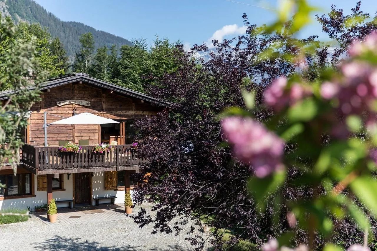 Chalet Pres Des Cimes Ski-In Ski-Out Les Houches